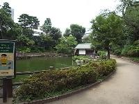 松濤の一角にある静かな公園です